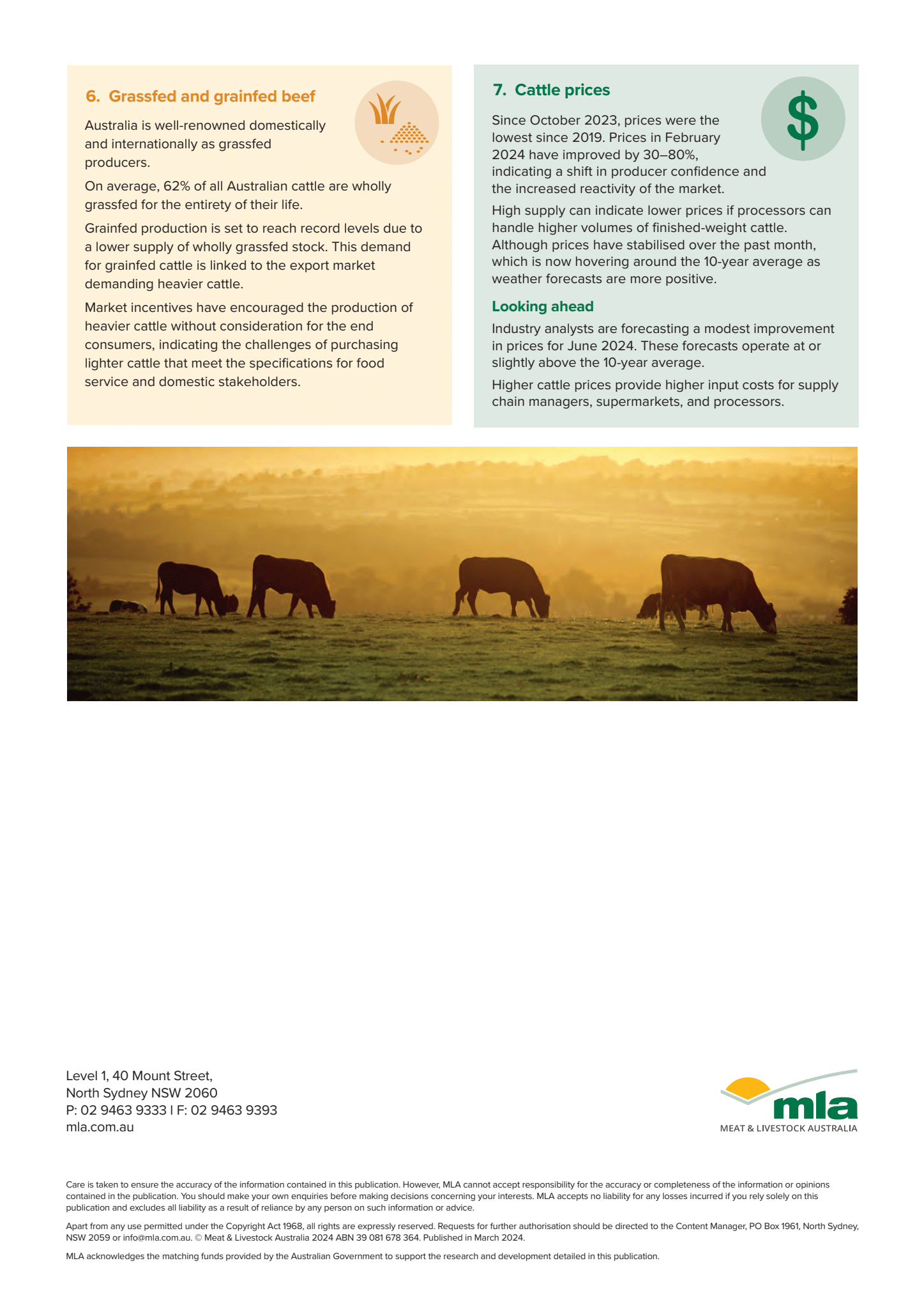 MLA 2024 cattle procurement manager supply update  (Page 2).png