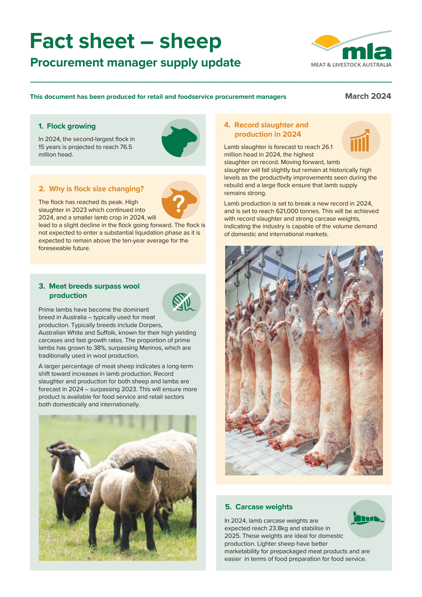 MLA 2024 sheep procurement manager supply update (Page 1).png