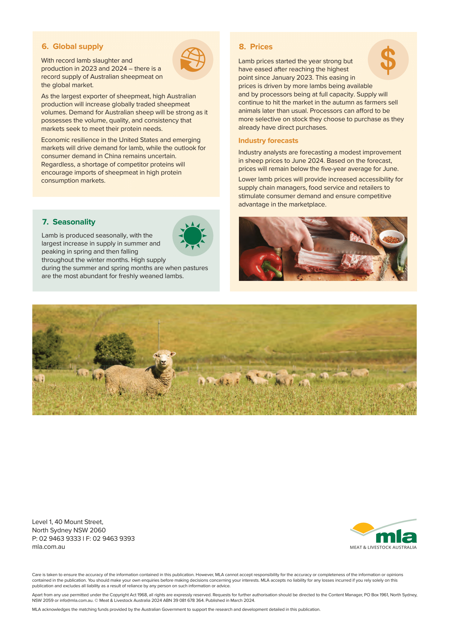 MLA 2024 sheep procurement manager supply update (Page 2).png